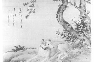 十骏犬睒星狼