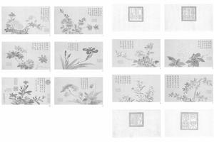 花卉（下册）图