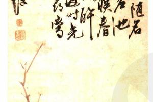 牡丹图