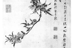 桃花写生