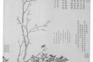 络纬图