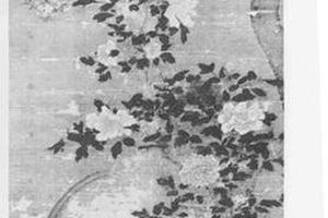 芍药图