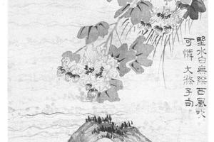 花卉十六开