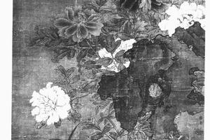 牡丹图