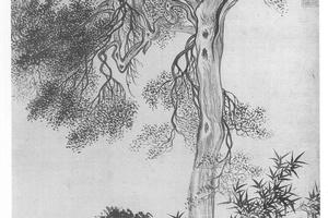 禹穴古柏
