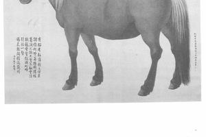 踣铁骝