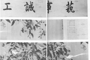 翎毛写生