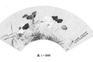 罂粟花图