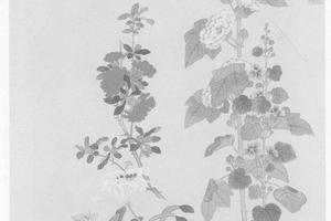 天中瑞景图