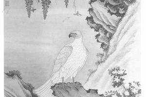 白鹰