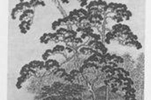 松下人物图
