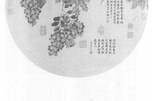 梧桐紫薇
