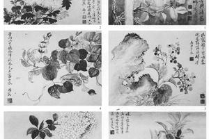 写生花卉