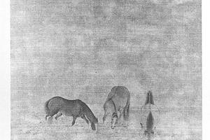 三马图册页
