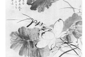 荷花图页装