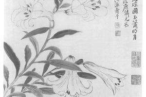 百合