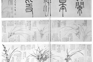 墨兰