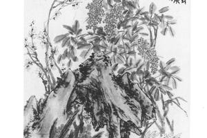 天竺水仙