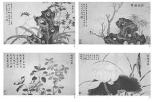 花卉