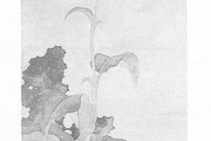 花卉图