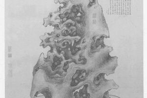雪浪石图