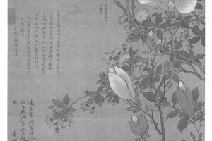 合笔海棠玉兰
