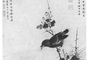 花乌