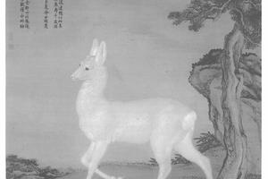 瑞麅图