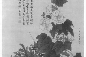 蜀葵石榴图