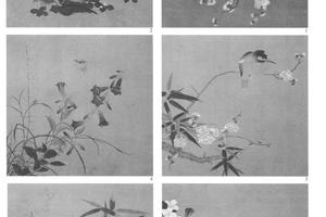 长春花鸟