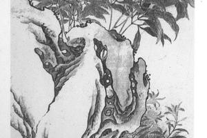 芍药萱石图