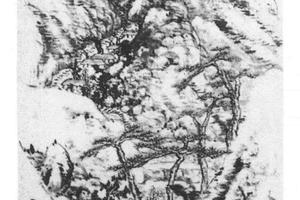 秋山图