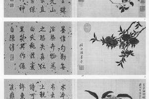 写生花卉