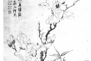 玉兰