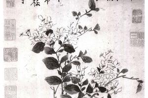 茉莉