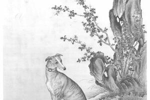 十骏犬斑锦彪