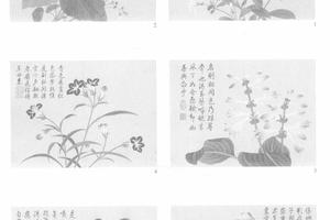 四气含和（下册）图