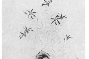 花蝶图