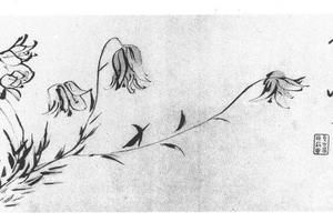 指画草兰图