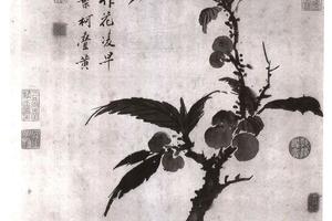 枇杷图