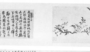 海棠桃花诗画卷