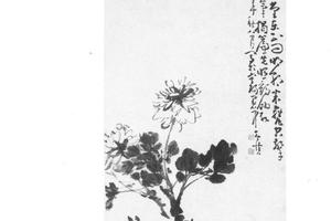 牡丹图