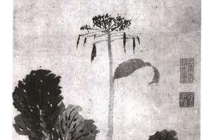 蔬菜