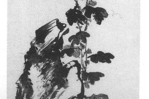 芝草菊石图