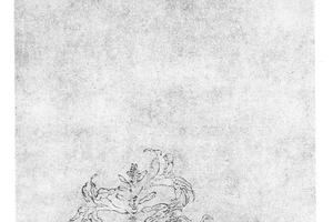 玉簪花图