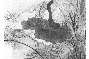 水面闻香图
