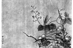 草虫图册页