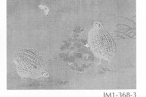 鹑图册页