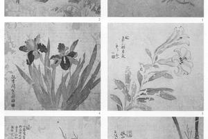 花卉