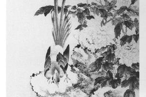 牡丹山鹧图